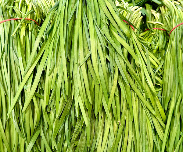 agretti agretti