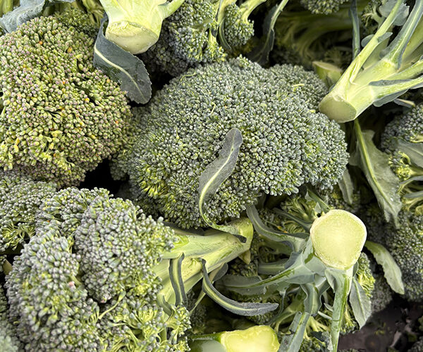 broccoli broccoli