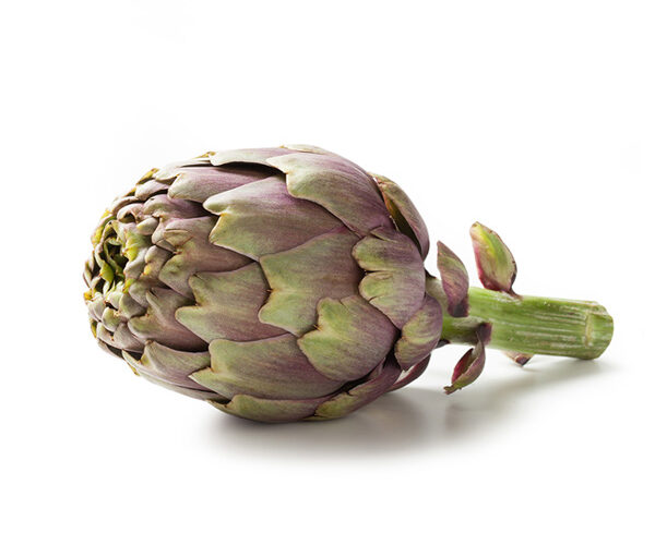 carciofo