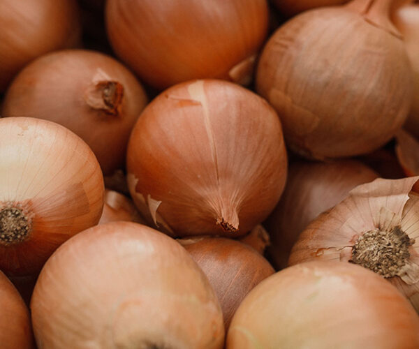 cipolla-dorata cipolla-dorata
