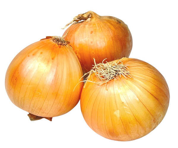 cipolla-dorata