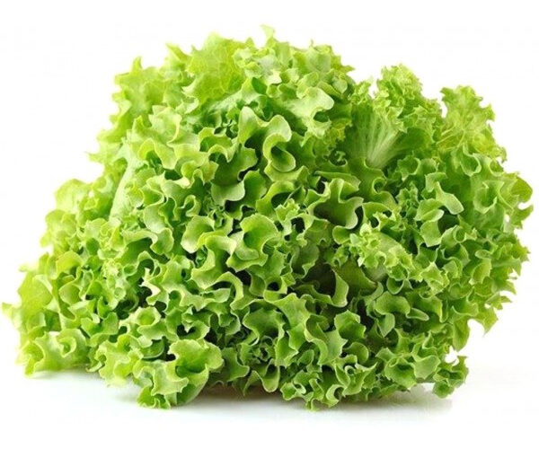 insalata-gentilina