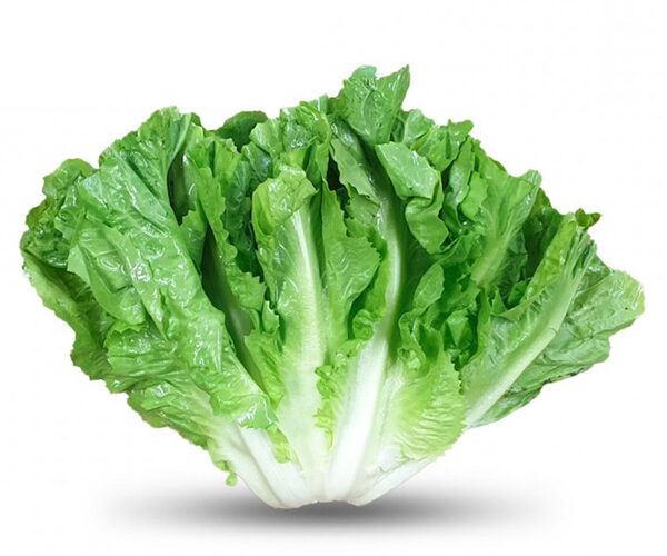 insalata-scarola