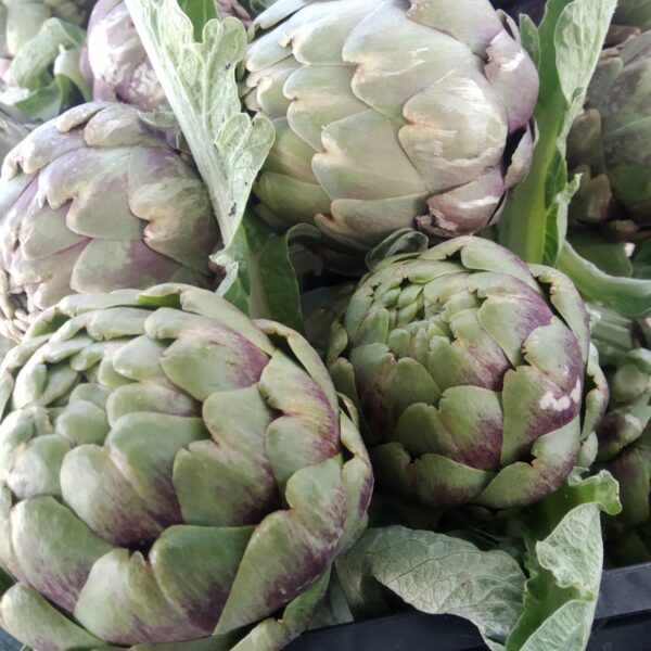 verdura - carciofi