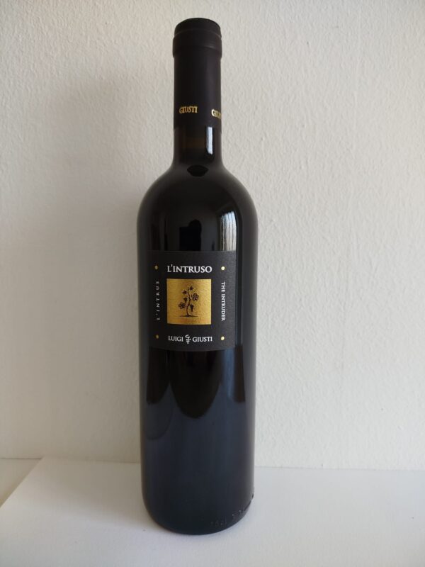 L'Intruso - Marche Rosso IGT  - Az. Agr. Giusti Piergiovanni